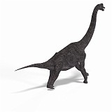 Brachiosaurus 33 A_0001